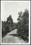 16707 Gezicht op een onverharde weg door de bossen bij Amerongen.